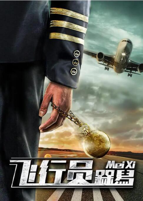 飞行员呆呆鸟封面图