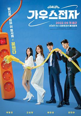 高斯电子公司封面图