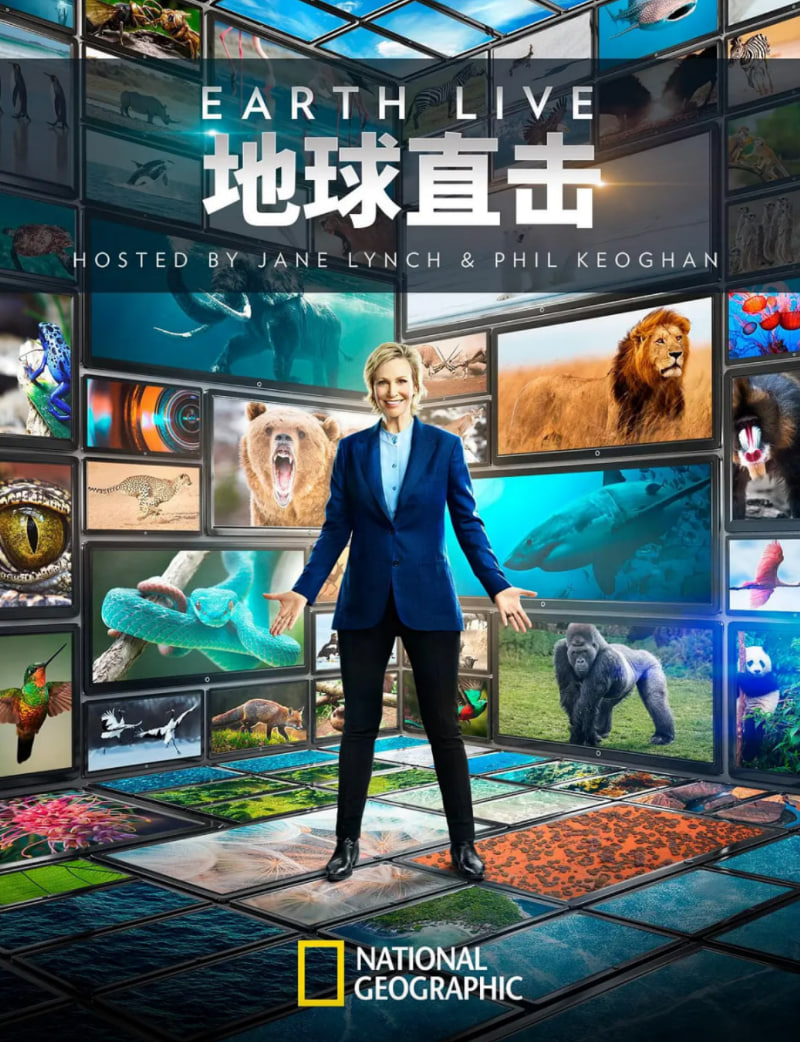 地球直击封面图