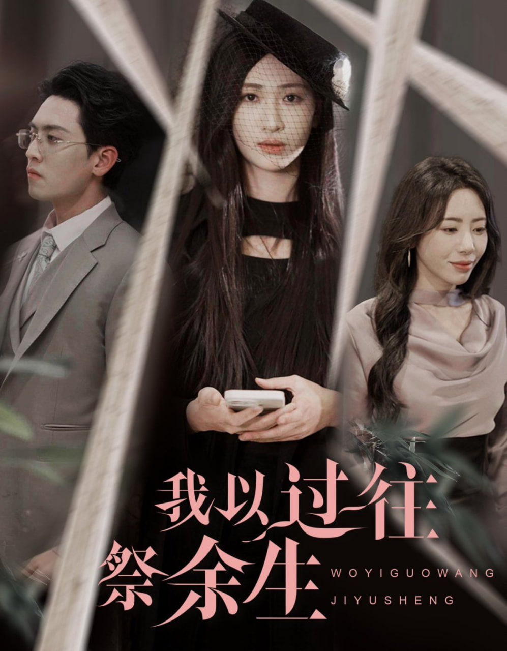 我以过往祭余生封面图