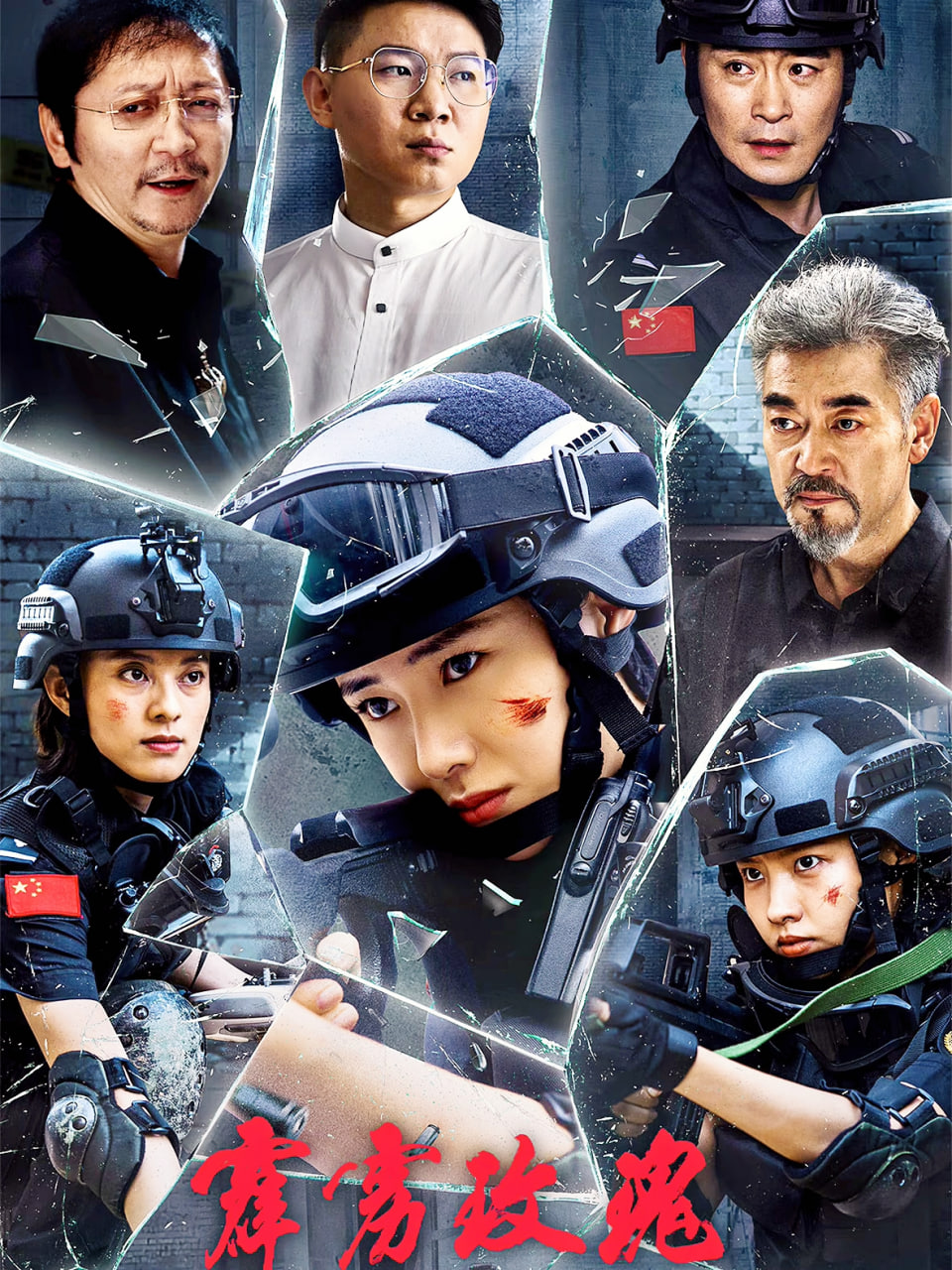 霹雳玫瑰封面图