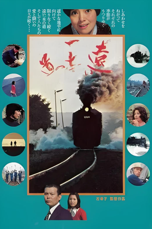 遥遥长路远封面图