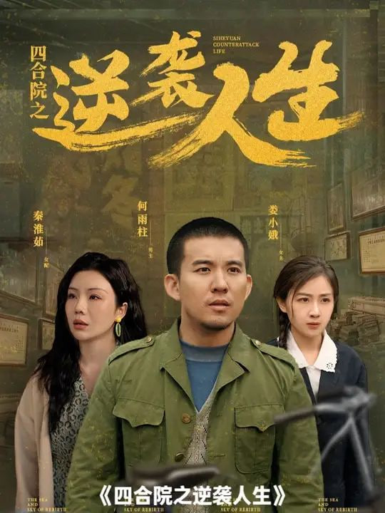 四合院之逆袭人生封面图