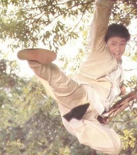 珠江群龙国语封面图