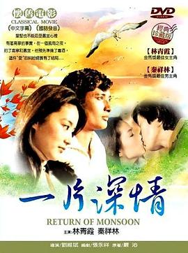 一片深情1979封面图