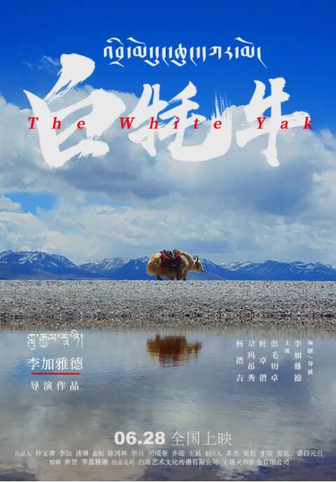 白牦牛封面图