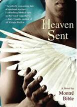 天堂来客封面图