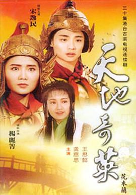 天地奇英之花木兰封面图