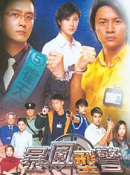 暴风刑警国语封面图