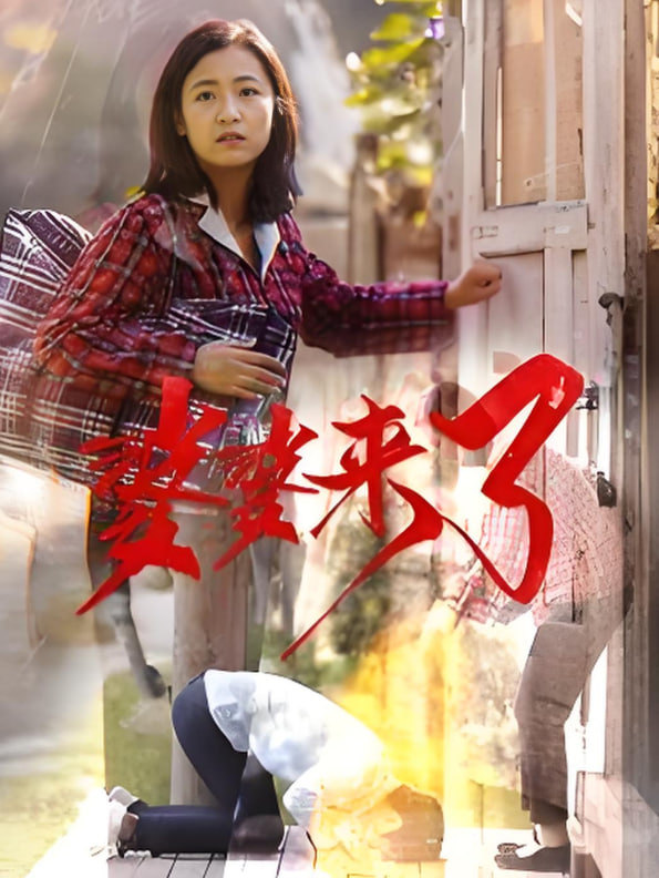 婆婆来了封面图