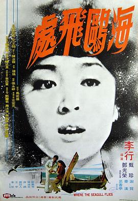 海鸥飞处封面图