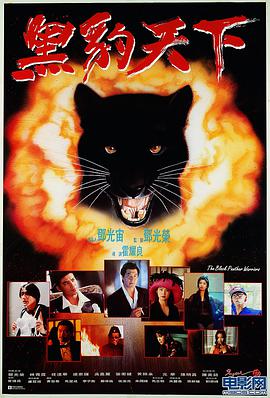 黑豹天下封面图