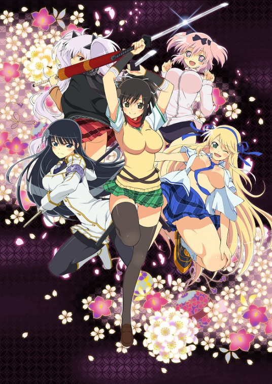 闪乱神乐封面图