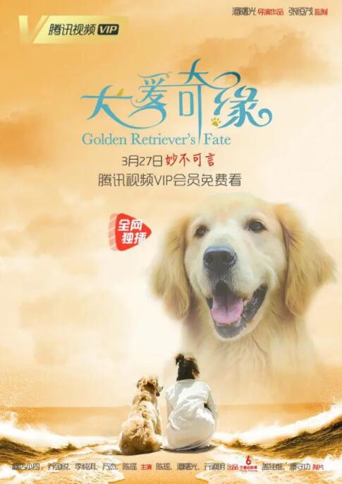 犬爱奇缘封面图