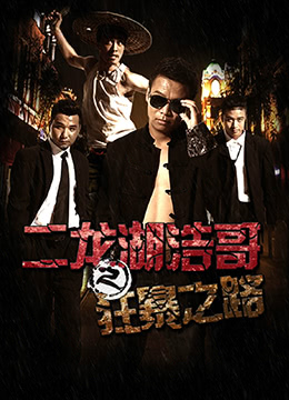 二龙湖浩哥之狂暴之路封面图