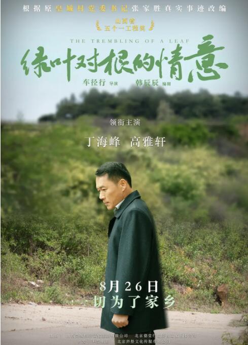 绿叶对根的情意封面图