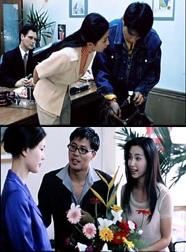 绿色柔情封面图