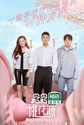 念念桃花源封面图