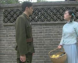 侬本痴情封面图