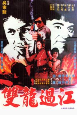 双龙过江封面图
