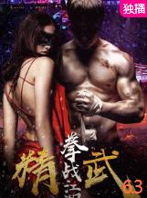 精武之拳战江湖封面图