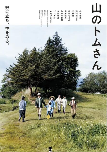 山中的汤姆先生封面图