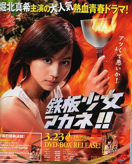 铁板少女小茜封面图