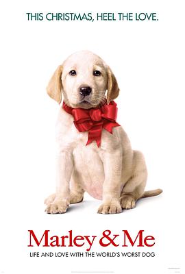 马利和我封面图