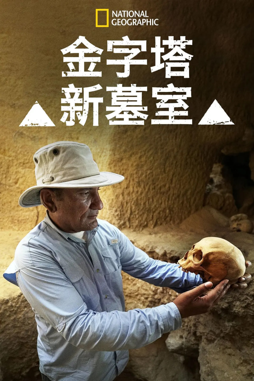 金字塔新墓室封面图