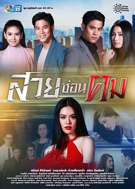 美里藏针[电影解说]封面图