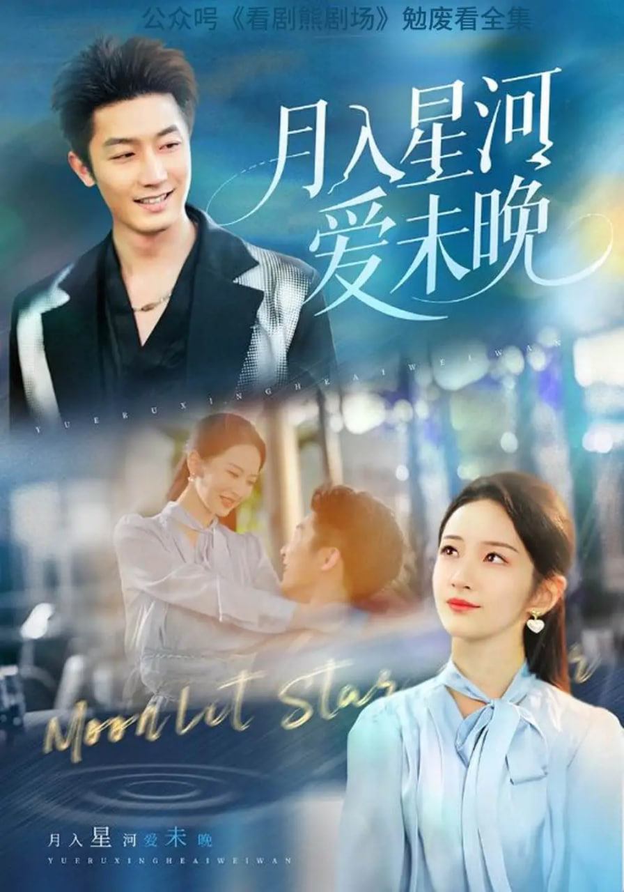 月入星河爱未晚封面图