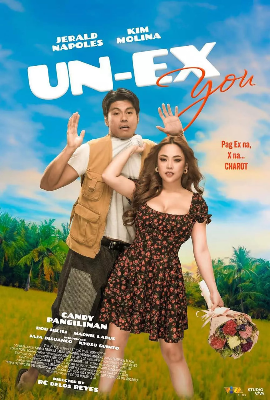 不曾有过的你封面图