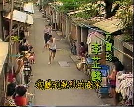 大城小调封面图