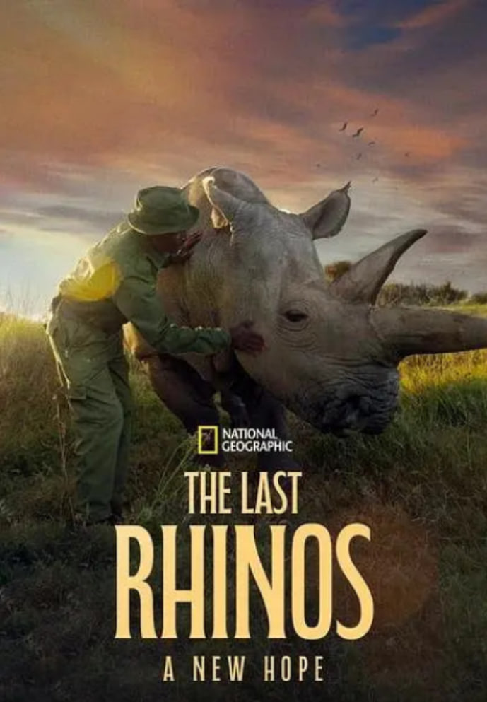 最后的犀牛：新希望封面图