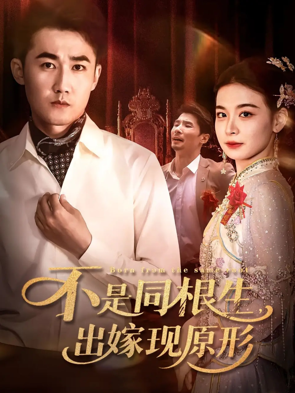 不是同根生出嫁现原形封面图