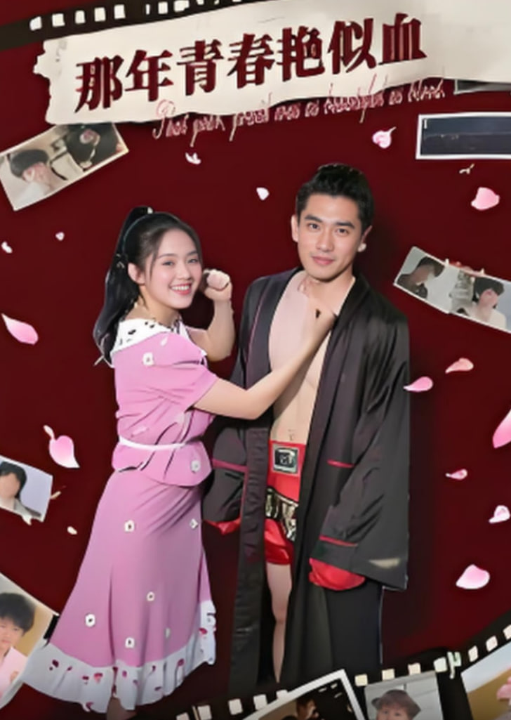 那年青春艳似血封面图