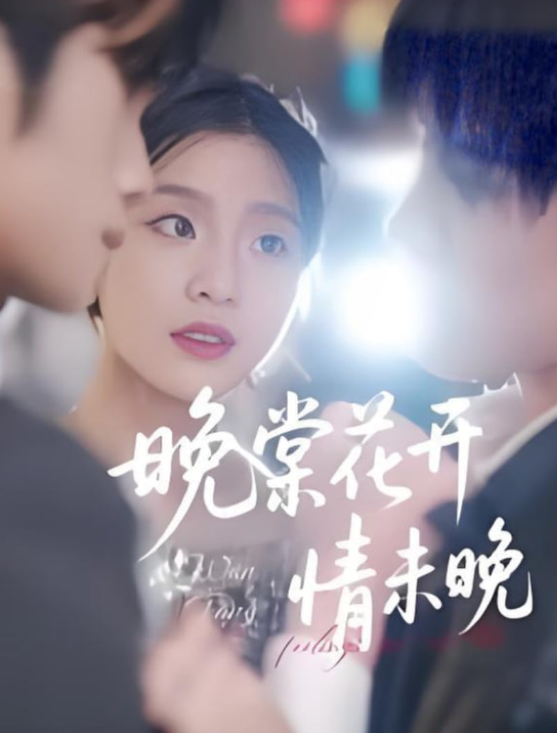 晚棠花开情未晚封面图