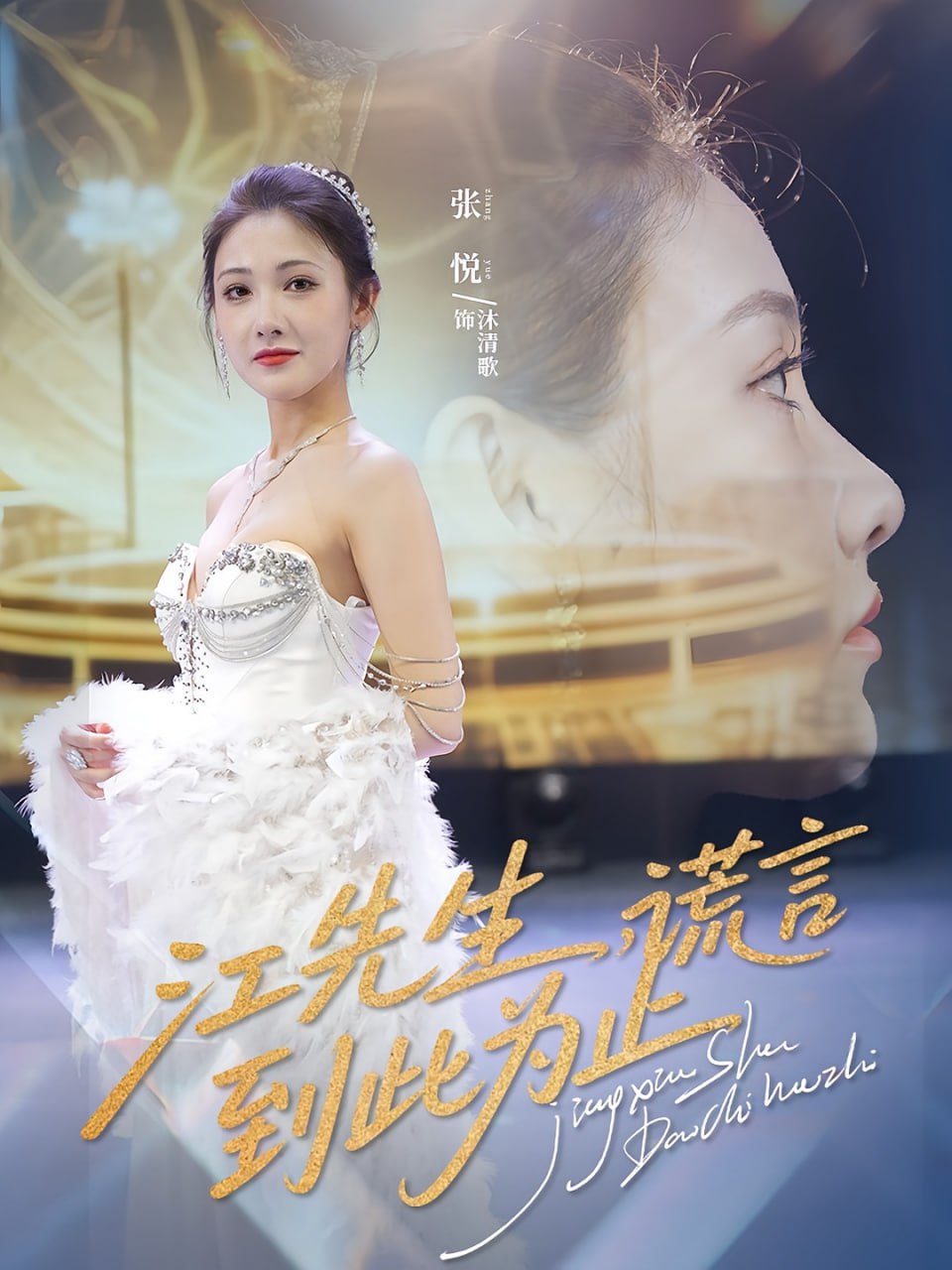 江先生谎言到此为止封面图