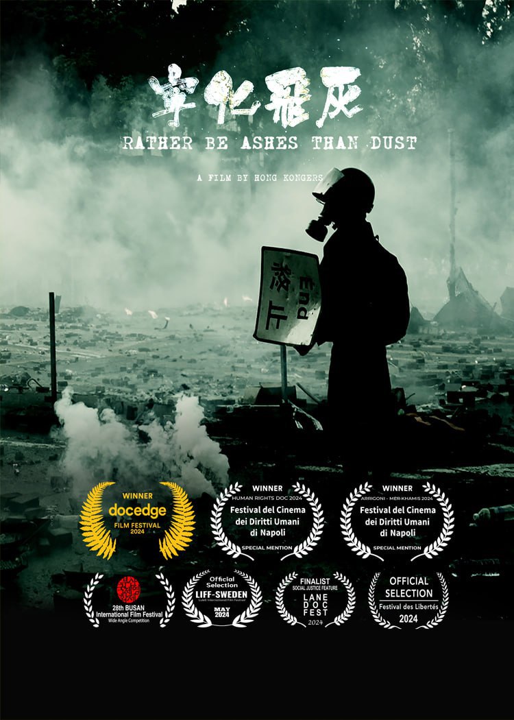 宁化飞灰封面图