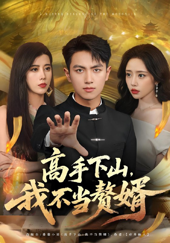 高手下山我不当赘婿封面图