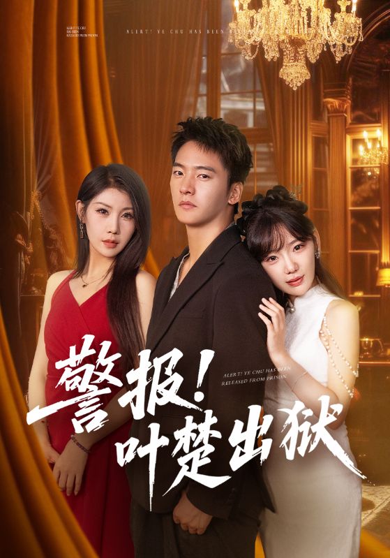 警报!叶楚出狱封面图