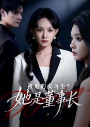 被甩的实习生？她是董事长！封面图