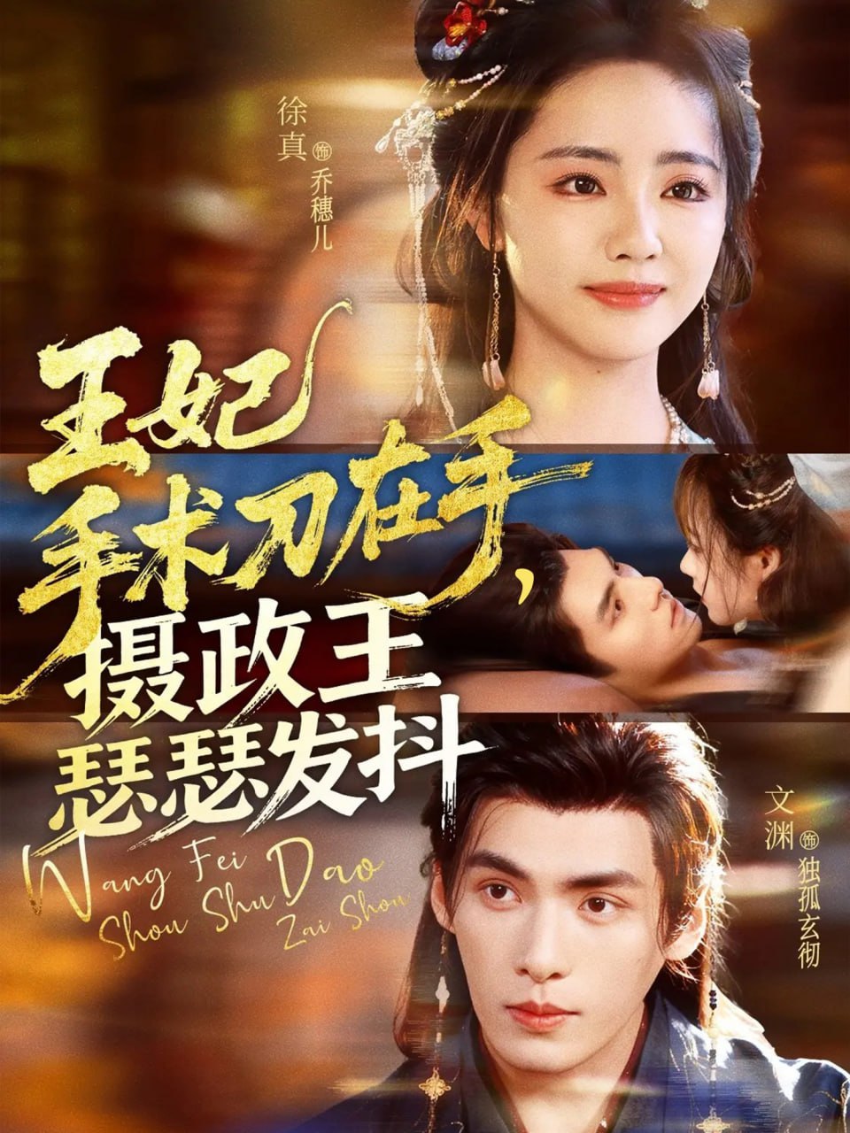 王妃手术刀在手摄政王瑟瑟发抖封面图