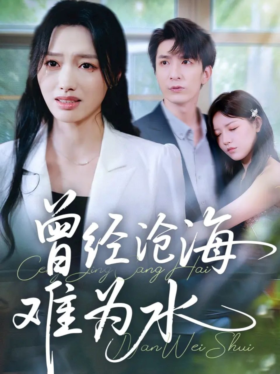 曾经沧海难为水 2025封面图